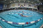 Swimming & Diving vs RWU  Swimming & Diving vs Roger Williams University. - Photo by Keith Nordstrom : Wheaton, Swimming